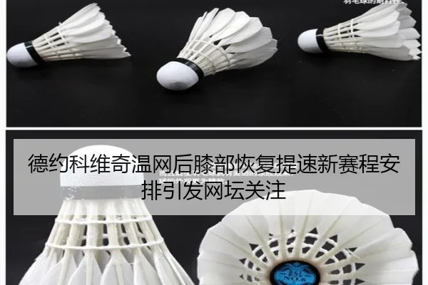 德约科维奇温网后膝部恢复提速新赛程安排引发网坛关注